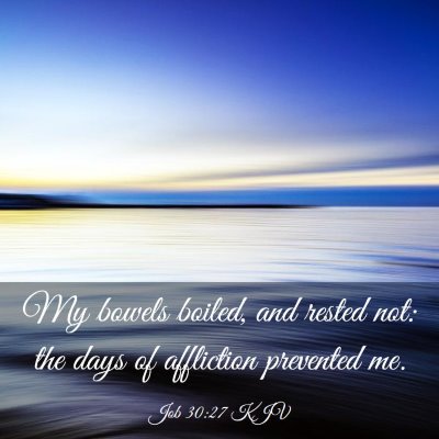 Picture 03 - Job 30:27 KJV - My bowels boiled, and rested not: the days of - Bible Verse Picture