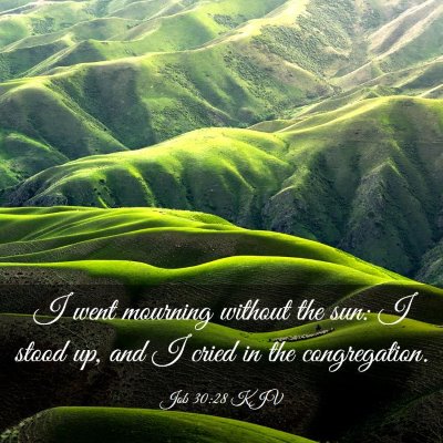 Picture 03 - Job 30:28 KJV - I went mourning without the sun: I stood up, and - Bible Verse Picture