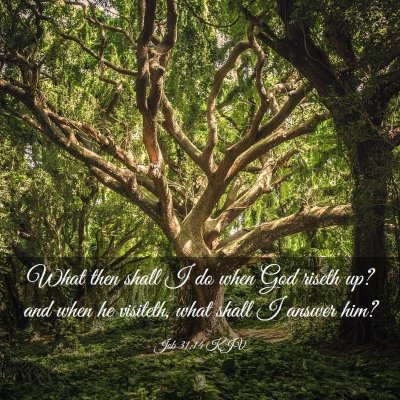 Picture 03 - Job 31:14 KJV - What then shall I do when God riseth up? and when - Bible Verse Picture