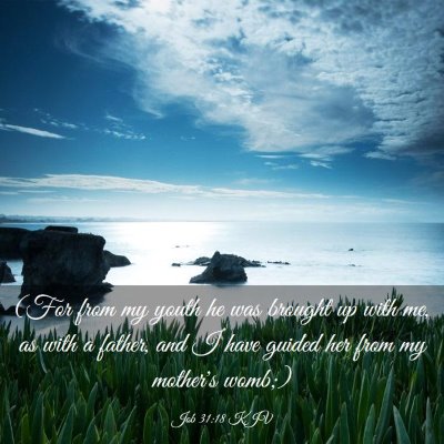 Picture 03 - Job 31:18 KJV - (For from my youth he was brought up with me, as - Bible Verse Picture