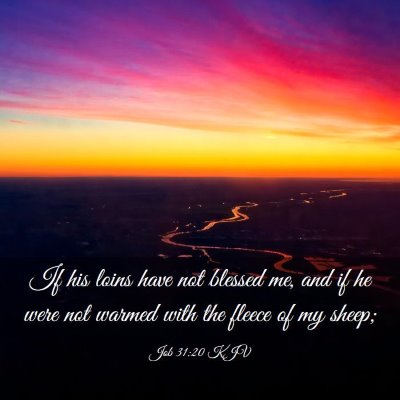 Picture 03 - Job 31:20 KJV - If his loins have not blessed me, and if he were - Bible Verse Picture