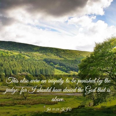 Picture 03 - Job 31:28 KJV - This also were an iniquity to be punished by the - Bible Verse Picture