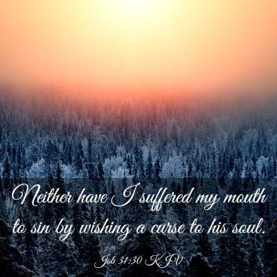 Picture 03 - Job 31:30 KJV - Neither have I suffered my mouth to sin by - Bible Verse Picture