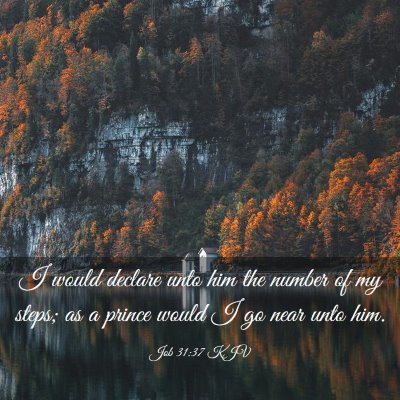 Picture 03 - Job 31:37 KJV - I would declare unto him the number of my steps; - Bible Verse Picture
