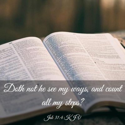 Picture 03 - Job 31:4 KJV - Doth not he see my ways, and count all my - Bible Verse Picture