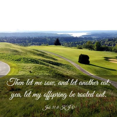 Picture 03 - Job 31:8 KJV - Then let me sow, and let another eat; yea, let my - Bible Verse Picture