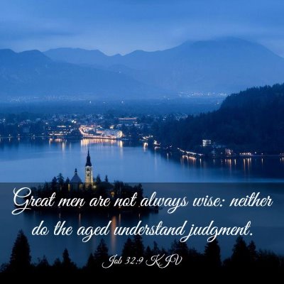 Picture 03 - Job 32:9 KJV - Great men are not always wise: neither do the - Bible Verse Picture