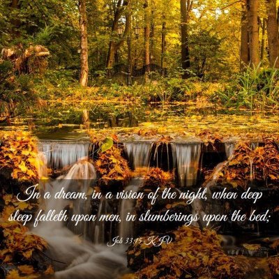 Picture 03 - Job 33:15 KJV - In a dream, in a vision of the night, when deep - Bible Verse Picture