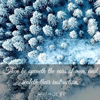 Picture 03 - Job 33:16 KJV - Then he openeth the ears of men, and sealeth - Bible Verse Picture