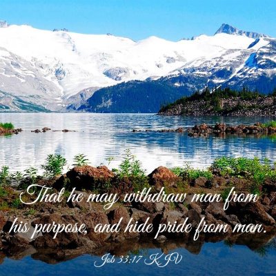 Picture 03 - Job 33:17 KJV - That he may withdraw man from his purpose, and - Bible Verse Picture