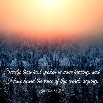 Picture 03 - Job 33:8 KJV - Surely thou hast spoken in mine hearing, and I - Bible Verse Picture