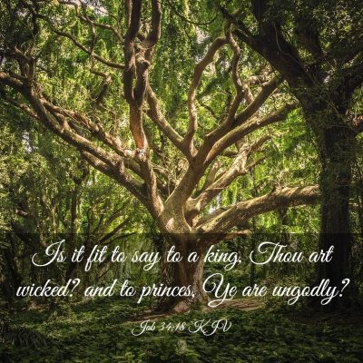 Picture 03 - Job 34:18 KJV - Is it fit to say to a king, Thou art wicked? and - Bible Verse Picture
