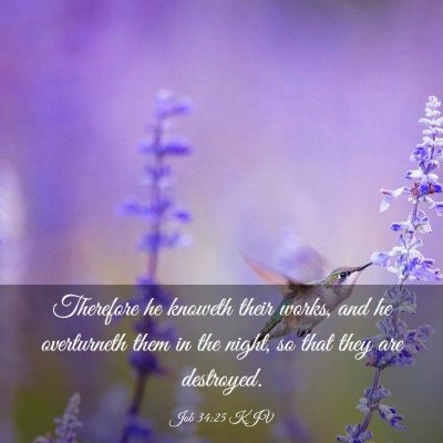 Picture 03 - Job 34:25 KJV - Therefore he knoweth their works, and he - Bible Verse Picture
