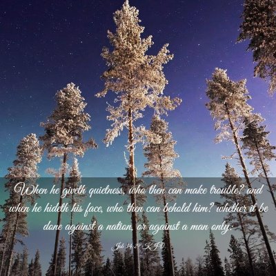 Picture 03 - Job 34:29 KJV - When he giveth quietness, who then can make - Bible Verse Picture