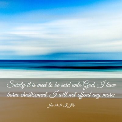Picture 03 - Job 34:31 KJV - Surely it is meet to be said unto God, I have - Bible Verse Picture