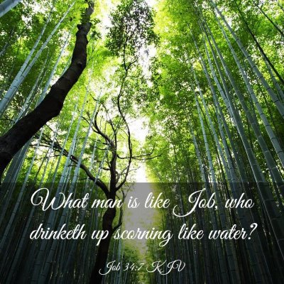 Picture 03 - Job 34:7 KJV - What man is like Job, who drinketh up scorning - Bible Verse Picture
