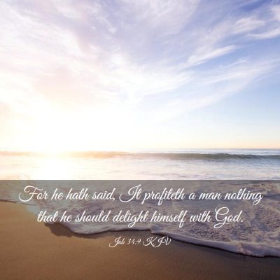 Picture 03 - Job 34:9 KJV - For he hath said, It profiteth a man nothing that - Bible Verse Picture
