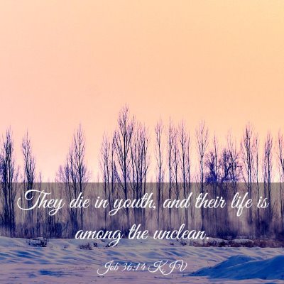 Picture 03 - Job 36:14 KJV - They die in youth, and their life is among the - Bible Verse Picture