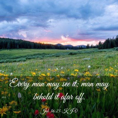 Picture 03 - Job 36:25 KJV - Every man may see it; man may behold it afar - Bible Verse Picture