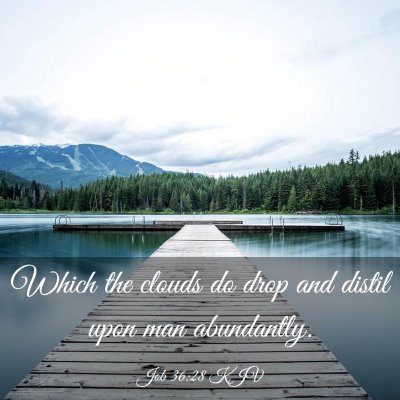 Picture 03 - Job 36:28 KJV - Which the clouds do drop and distil upon man - Bible Verse Picture