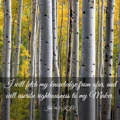 Picture 03 - Job 36:3 KJV - I will fetch my knowledge from afar, and will - Bible Verse Picture