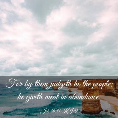 Picture 03 - Job 36:31 KJV - For by them judgeth he the people; he giveth meat - Bible Verse Picture
