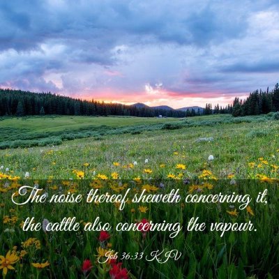 Picture 03 - Job 36:33 KJV - The noise thereof sheweth concerning it, the - Bible Verse Picture
