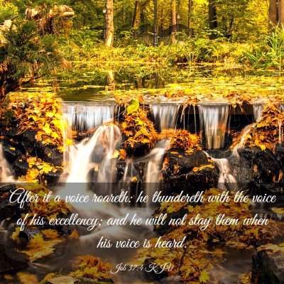 Picture 03 - Job 37:4 KJV - After it a voice roareth: he thundereth with the - Bible Verse Picture