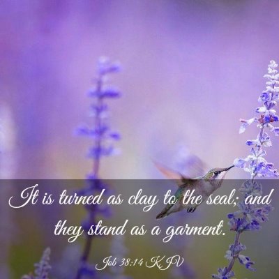 Picture 03 - Job 38:14 KJV - It is turned as clay to the seal; and they stand - Bible Verse Picture