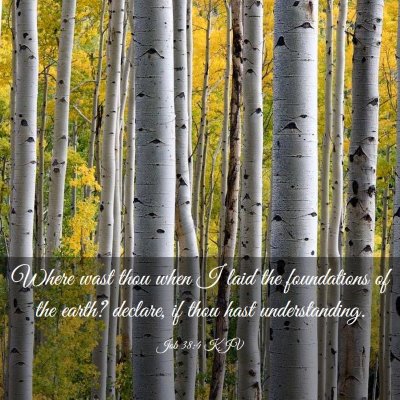 Picture 03 - Job 38:4 KJV - Where wast thou when I laid the foundations of - Bible Verse Picture