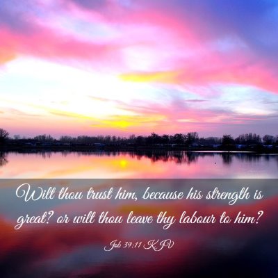 Picture 03 - Job 39:11 KJV - Wilt thou trust him, because his strength is - Bible Verse Picture