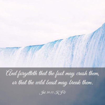 Picture 03 - Job 39:15 KJV - And forgetteth that the foot may crush them, or - Bible Verse Picture