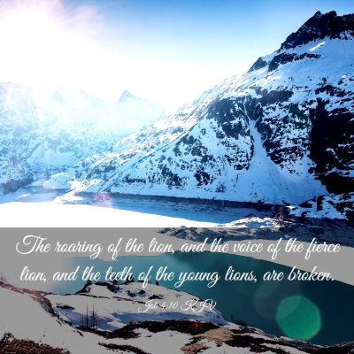 Picture 03 - Job 4:10 KJV - The roaring of the lion, and the voice of the - Bible Verse Picture