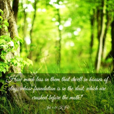 Picture 03 - Job 4:19 KJV - How much less in them that dwell in houses of - Bible Verse Picture