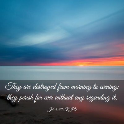 Picture 03 - Job 4:20 KJV - They are destroyed from morning to evening: they - Bible Verse Picture