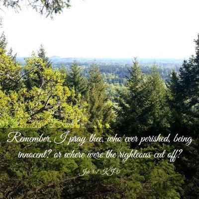 Picture 03 - Job 4:7 KJV - Remember, I pray thee, who ever perished, being - Bible Verse Picture