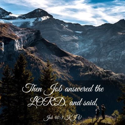 Picture 03 - Job 40:3 KJV - Then Job answered the LORD, and - Bible Verse Picture