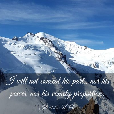 Picture 03 - Job 41:12 KJV - I will not conceal his parts, nor his power, nor - Bible Verse Picture