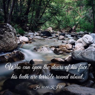 Picture 03 - Job 41:14 KJV - Who can open the doors of his face? his teeth are - Bible Verse Picture