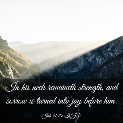 Picture 03 - Job 41:22 KJV - In his neck remaineth strength, and sorrow is - Bible Verse Picture