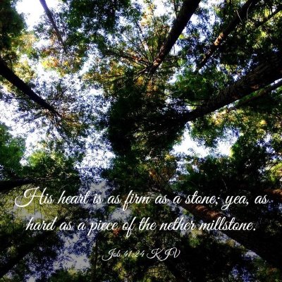 Picture 03 - Job 41:24 KJV - His heart is as firm as a stone; yea, as hard as - Bible Verse Picture