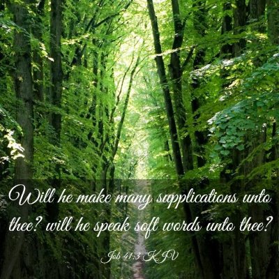 Picture 03 - Job 41:3 KJV - Will he make many supplications unto thee? will - Bible Verse Picture