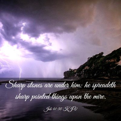 Picture 03 - Job 41:30 KJV - Sharp stones are under him: he spreadeth sharp - Bible Verse Picture