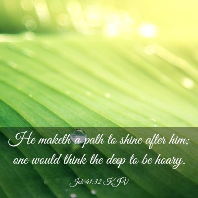 Picture 03 - Job 41:32 KJV - He maketh a path to shine after him; one would - Bible Verse Picture