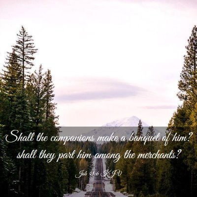 Picture 03 - Job 41:6 KJV - Shall the companions make a banquet of him? shall - Bible Verse Picture
