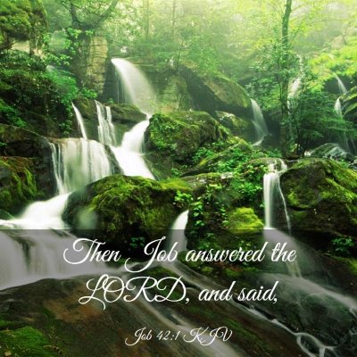 Picture 03 - Job 42:1 KJV - Then Job answered the LORD, and - Bible Verse Picture