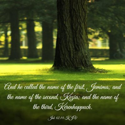 Picture 03 - Job 42:14 KJV - And he called the name of the first, Jemima; and - Bible Verse Picture