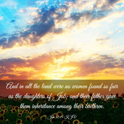 Picture 03 - Job 42:15 KJV - And in all the land were no women found so fair - Bible Verse Picture
