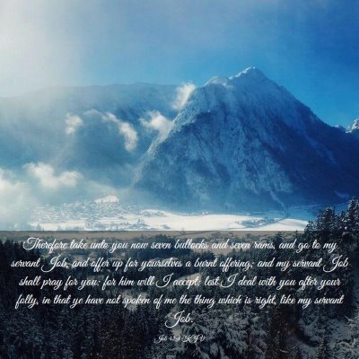 Picture 03 - Job 42:8 KJV - Therefore take unto you now seven bullocks and - Bible Verse Picture