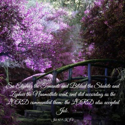 Picture 03 - Job 42:9 KJV - So Eliphaz the Temanite and Bildad the Shuhite - Bible Verse Picture